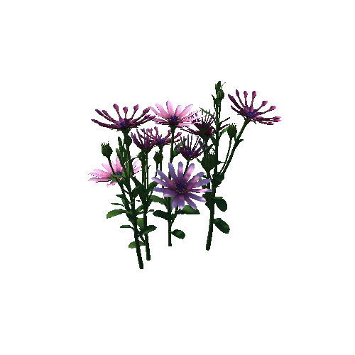 flower_Whirligig daisies3
